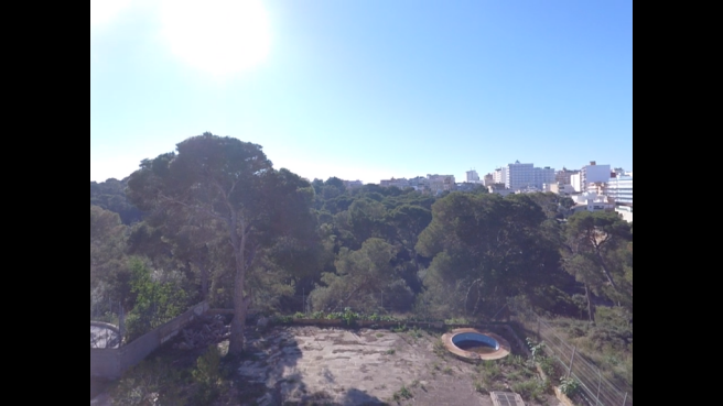 Third Floor Forest View.PNG