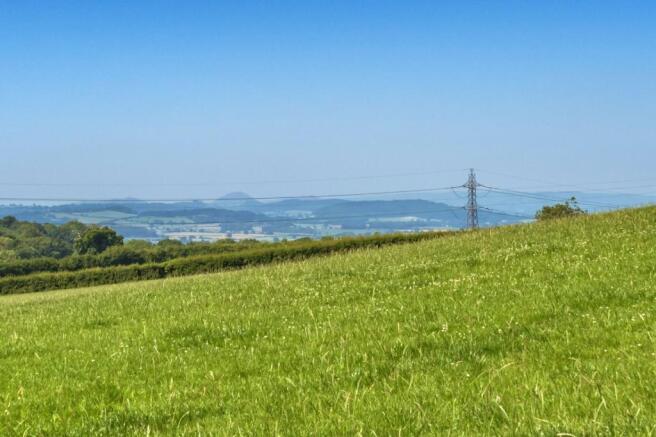 View Across Fields