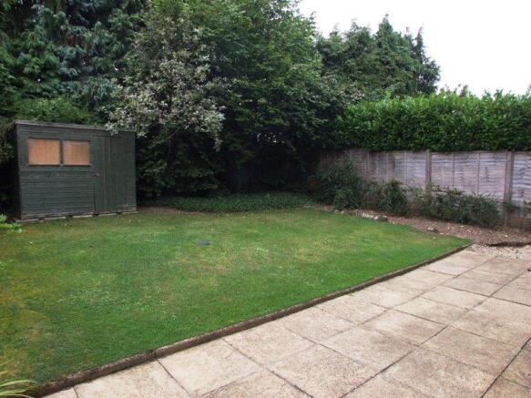 Photo 11