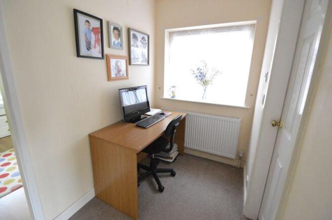 Study Area
