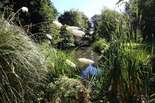 Pond