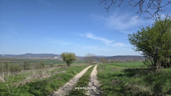 Dirt road surrounded by green fields and trees, extending towards distant hills under a blue sky