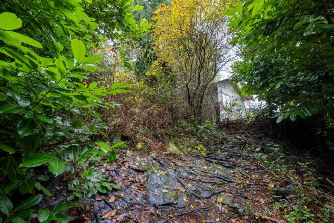 Elevated wild garden