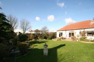 Rear Garden Photo 2