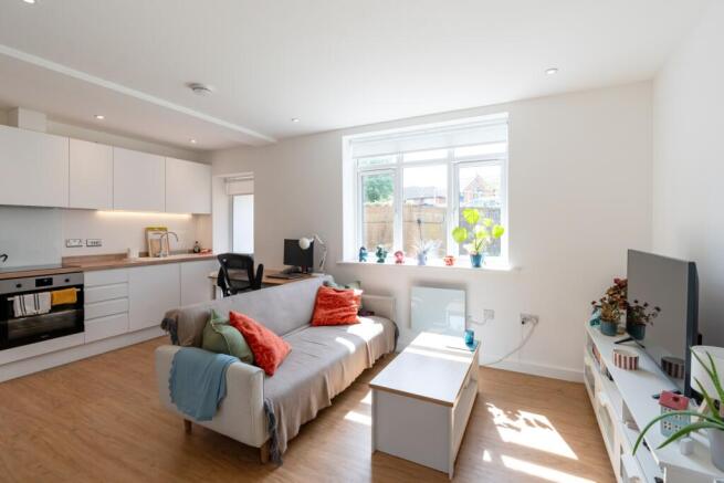 Living Area and Kitchen