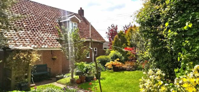 Garden Shot.jpeg