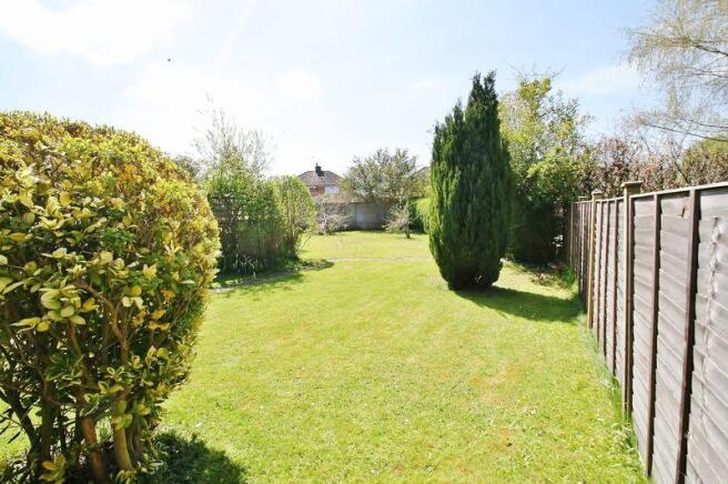 Back garden 2