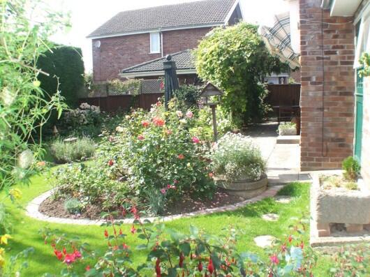 Photo 15