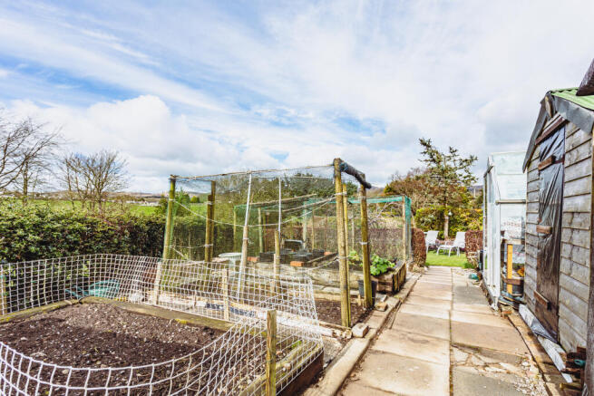 Vegetable Plots