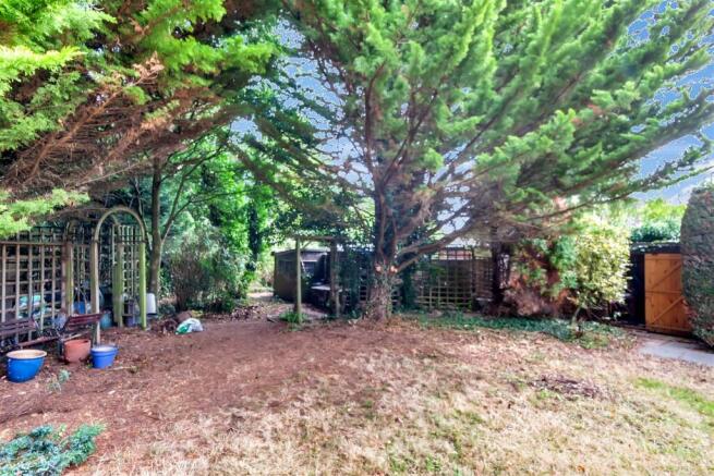 Garden 3.JPG