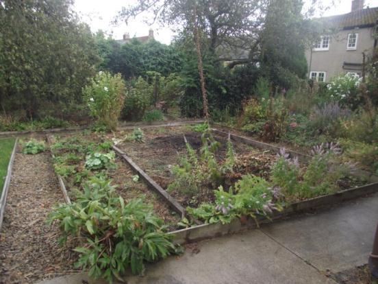 GARDEN 4