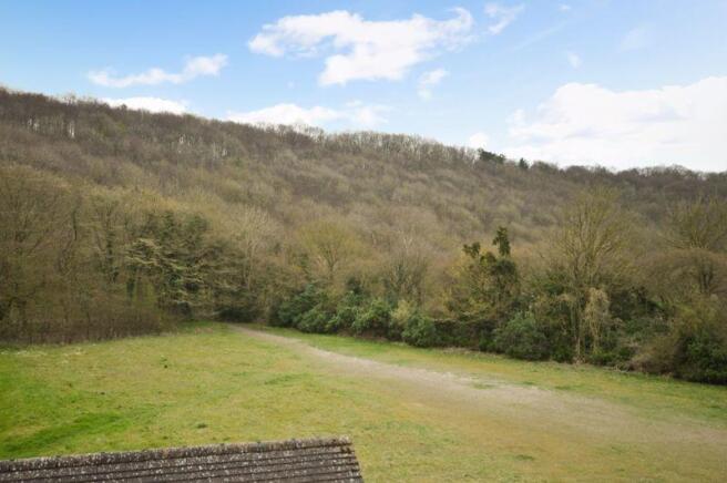 Wendover Woods