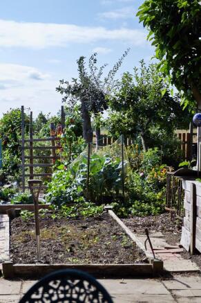 Photo 36