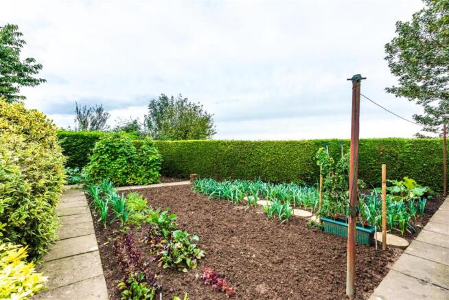Vegetable Plot