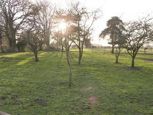 PADDOCKS