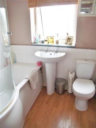 Picture 11