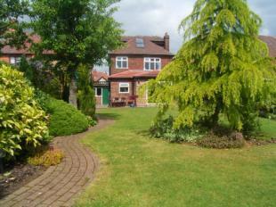 Garden Pic 3