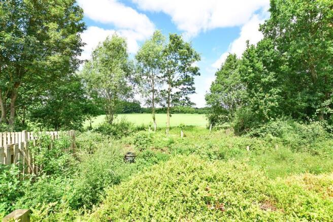 Surrounding Area