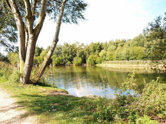lake view 2