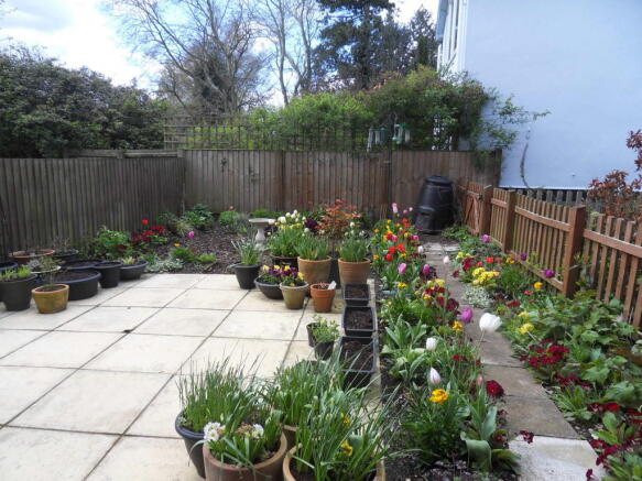 Photo 4