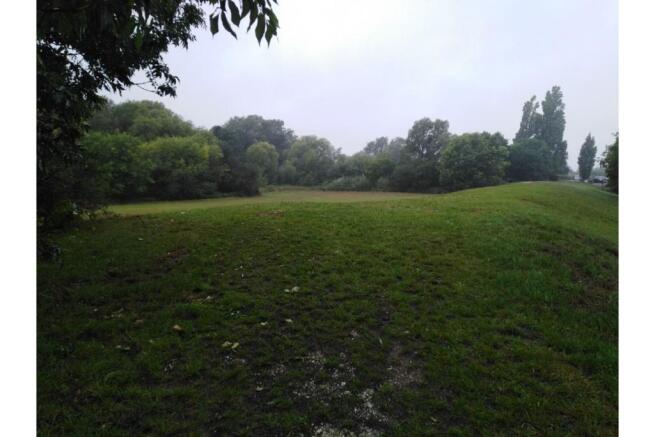 Field