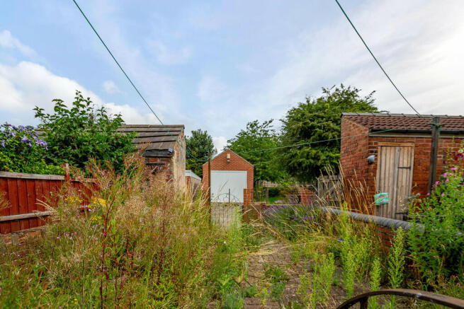 Back garden