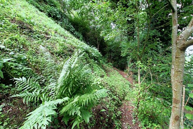 Woodland and gardens