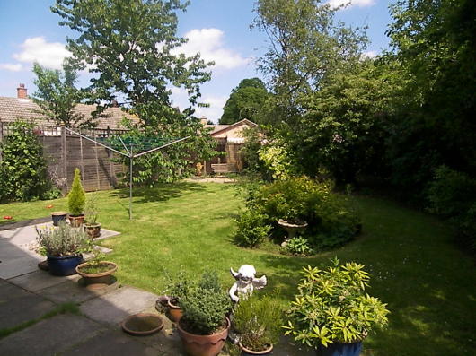 Photo 5