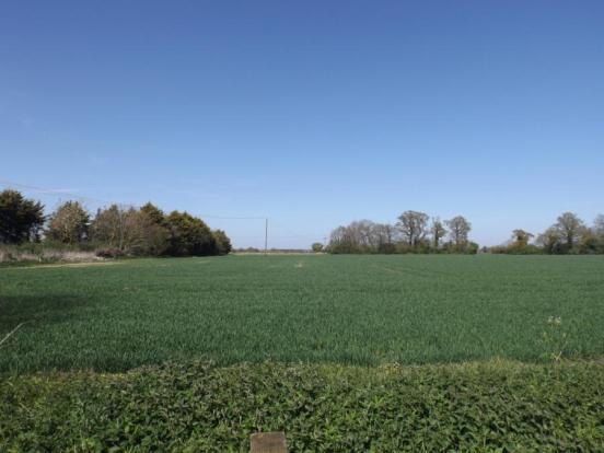 Field View To Rear