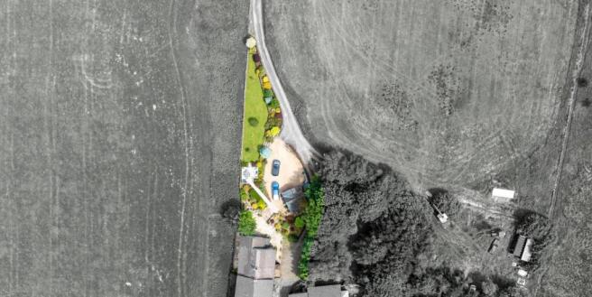 edited aerial shot.jpg