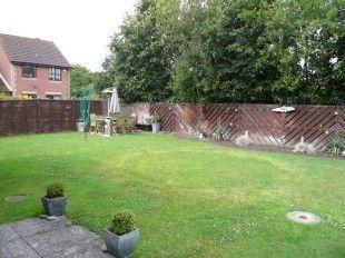 Picture 10