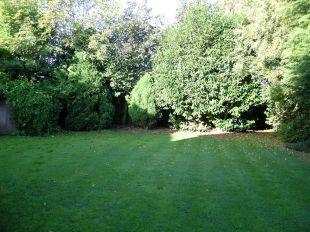 Rear garden 2