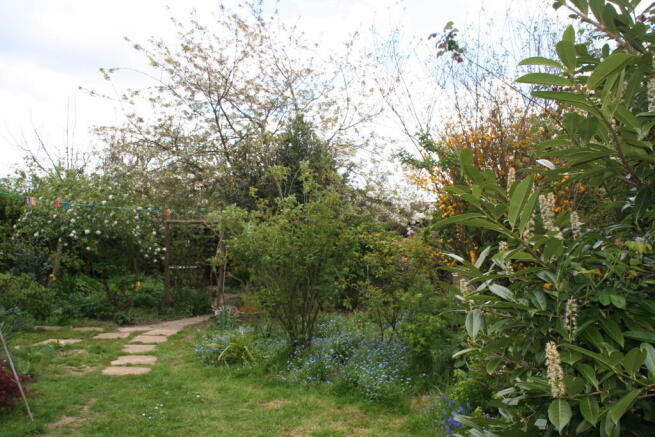 Photo 5