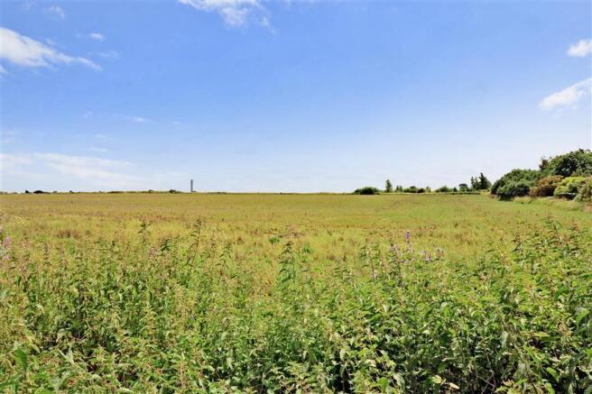 Surrounding Area