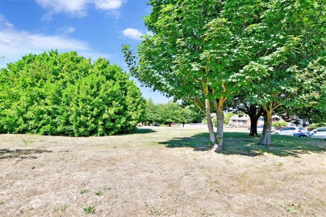 Surrounding Area