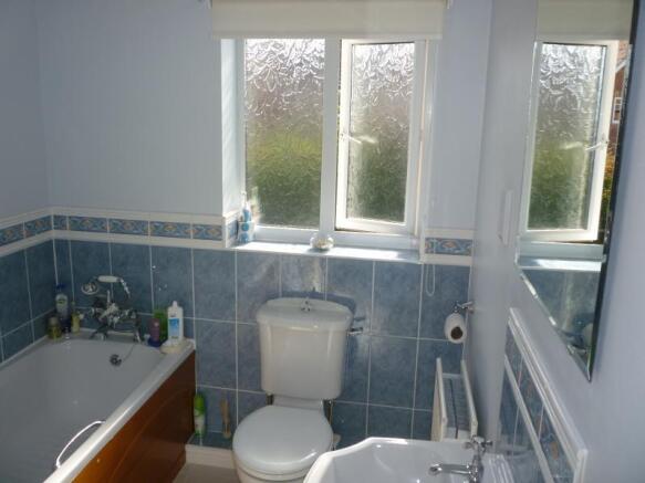 Photo 11