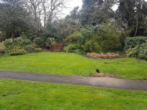 Garden (1).jpg