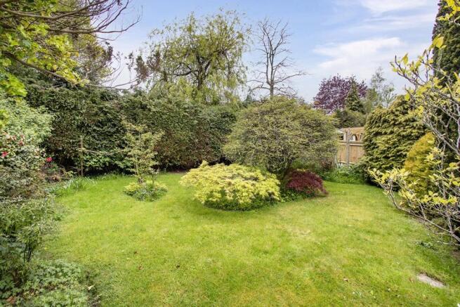 garden2.jpg