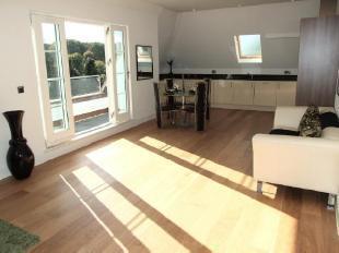 Reception- show flat