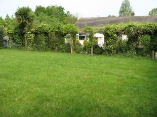 Garden 2