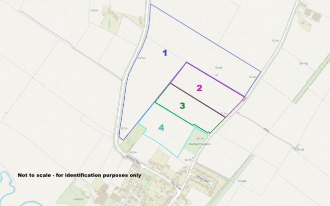 Brown Caldecott Plan edged.jpeg