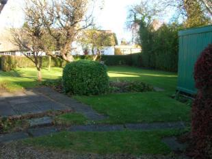Rear Garden 2