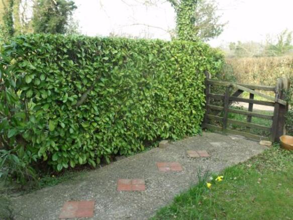 Photo 8