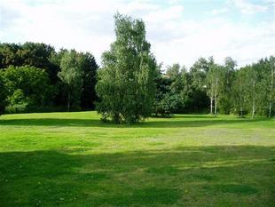 PHOTOGRAPH OF COMMUNAL GARDEN AREA