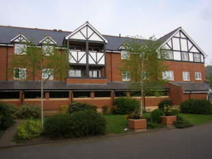 Rear Aspect