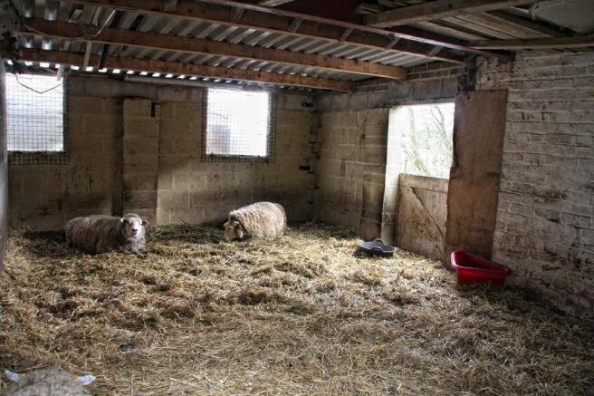 STABLE 2