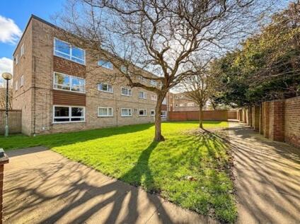 Coronilla Green, Gorleston