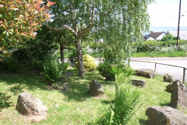 Planted Area