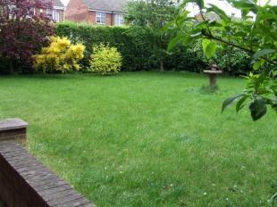 Side Garden