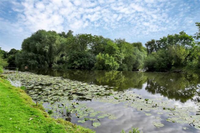 River View